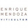 BODEGAS ENRIQUE MENDOZA