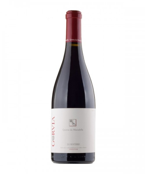 GORVIA TINTO 12 3/4