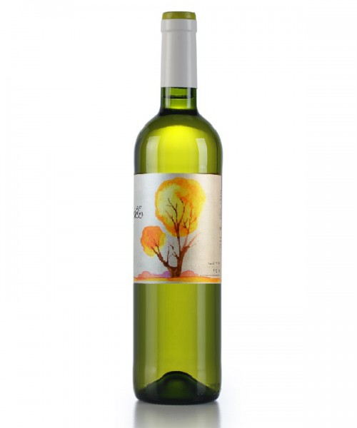 TORRE CASTILLO SAUVIGNON BLANC 2022